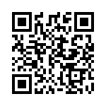 A20221100 QRCode