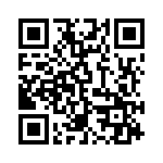 A38130204 QRCode