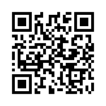 A38130704 QRCode