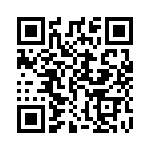 A40130304 QRCode