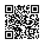 ACM24DSEI-S13 QRCode