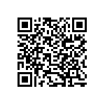 B32522C3334K000 QRCode