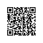 B32524Q3335J000 QRCode