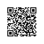 B32529C6223K289 QRCode