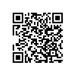 B32560J3104K189 QRCode