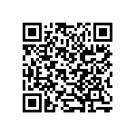 B32560J6103K189 QRCode