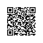 B32560J6153K289 QRCode