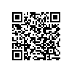 B32560J6333K289 QRCode