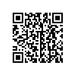 B32621A3333K000 QRCode