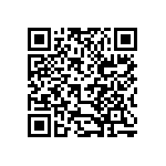 B32621A4153K000 QRCode