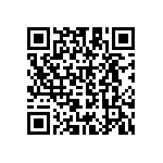 B41231A5229M000 QRCode