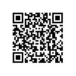 B41550A4220Q000 QRCode