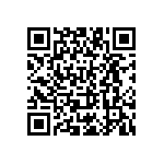 B41550E4109Q000 QRCode