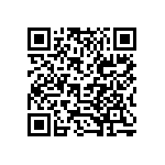 B43821A4336M000 QRCode