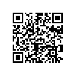 B57431V2333J062 QRCode