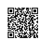 B64290L0761X046 QRCode