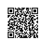 B64290L0765X065 QRCode