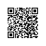 B65531D0040A033 QRCode