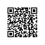 B65805J0160A041 QRCode