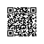 B88069X3880T502 QRCode