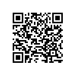 B88069X9731T303 QRCode