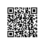 BCS-128-L-D-DE-013 QRCode