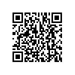 BCS-132-L-D-DE-063 QRCode