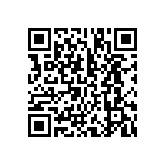 BCS-133-L-D-TE-007 QRCode