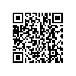 BCS-133-L-D-TE-041 QRCode