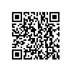 BCS-137-L-S-HE-029 QRCode