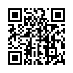 BDL-123-T-E QRCode