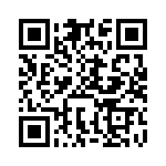 BFC233611333 QRCode