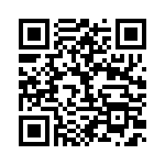 BFC233840333 QRCode