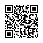 BFC233848009 QRCode