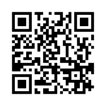 BFC233990064 QRCode