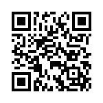 BFC238042203 QRCode