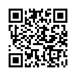 BFC238553303 QRCode