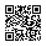 BFC242004303 QRCode