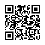 BFC246945333 QRCode