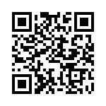 BFC247045823 QRCode