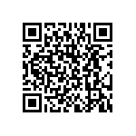 BKT-119-04-F-V-S QRCode