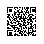 BKT-121-02-L-V-P QRCode