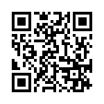 BKT-123-01-L-V QRCode