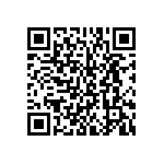 BKT-131-01-L-V-S-P QRCode