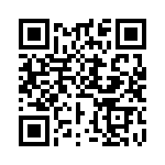 BKT-133-04-F-V QRCode