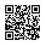 BKT-145-04-F-V QRCode