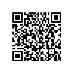 BKT-151-01-L-V-S-P-TR QRCode