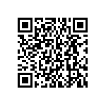 BKT-153-01-L-V-S-A-P QRCode