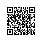 BKT-153-02-L-V-P QRCode