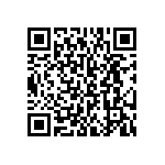 BKT-153-03-L-V-S QRCode